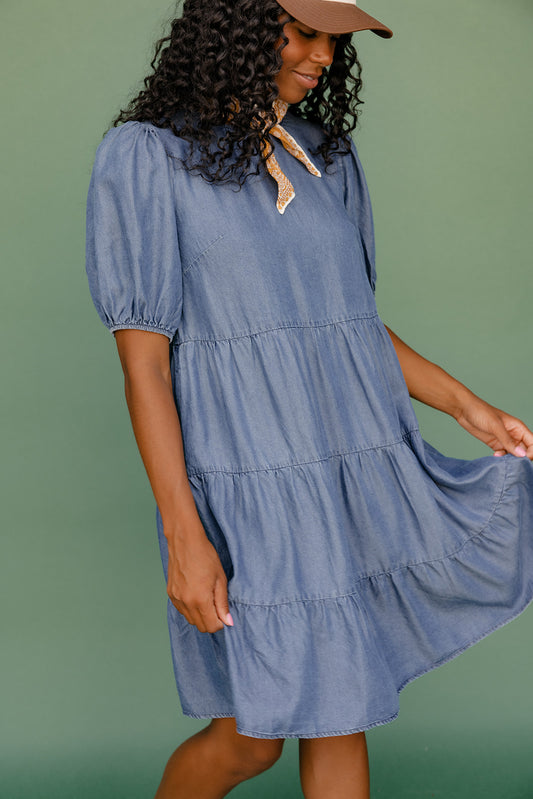 Report Card Denim Dress