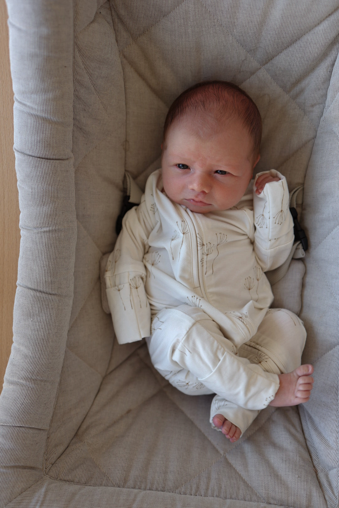 Bamboo Zip Pajamas | Dandelion