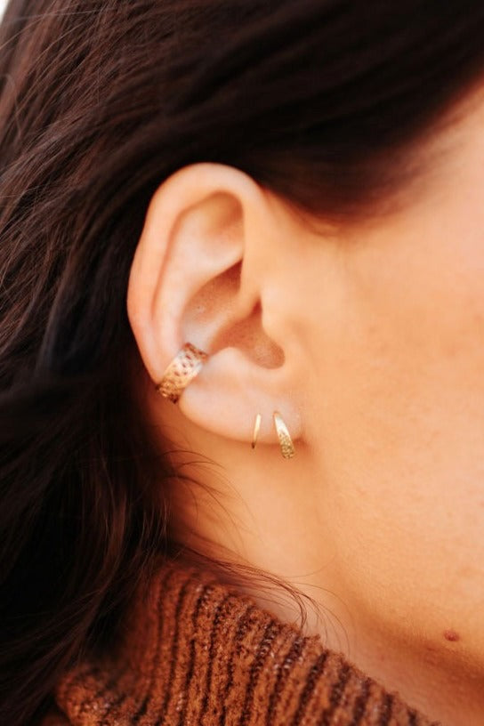 Double Twist Earrings