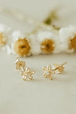 Flower Mini Studs