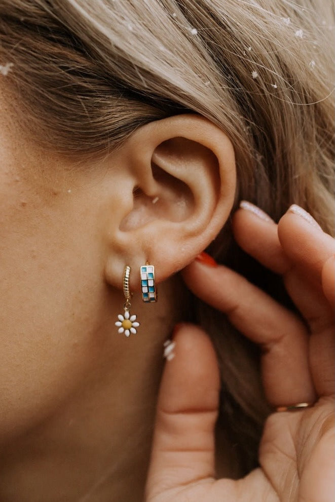 Blue & White Checkered Hoops