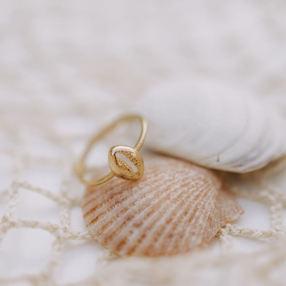 a gold ring on a seashell