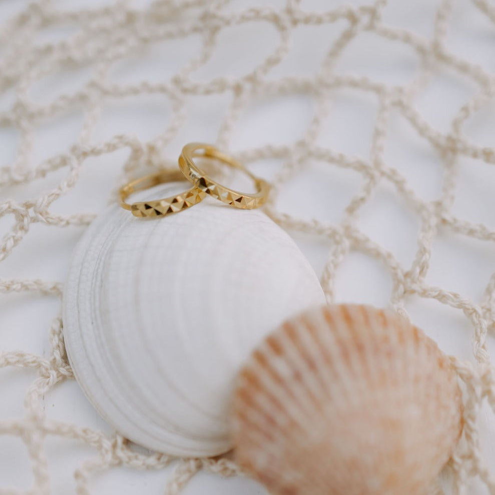 a seashell and rings on a net