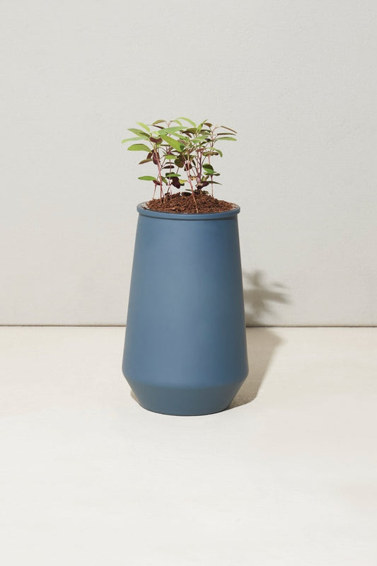 Tapered Tumbler Grow Kits