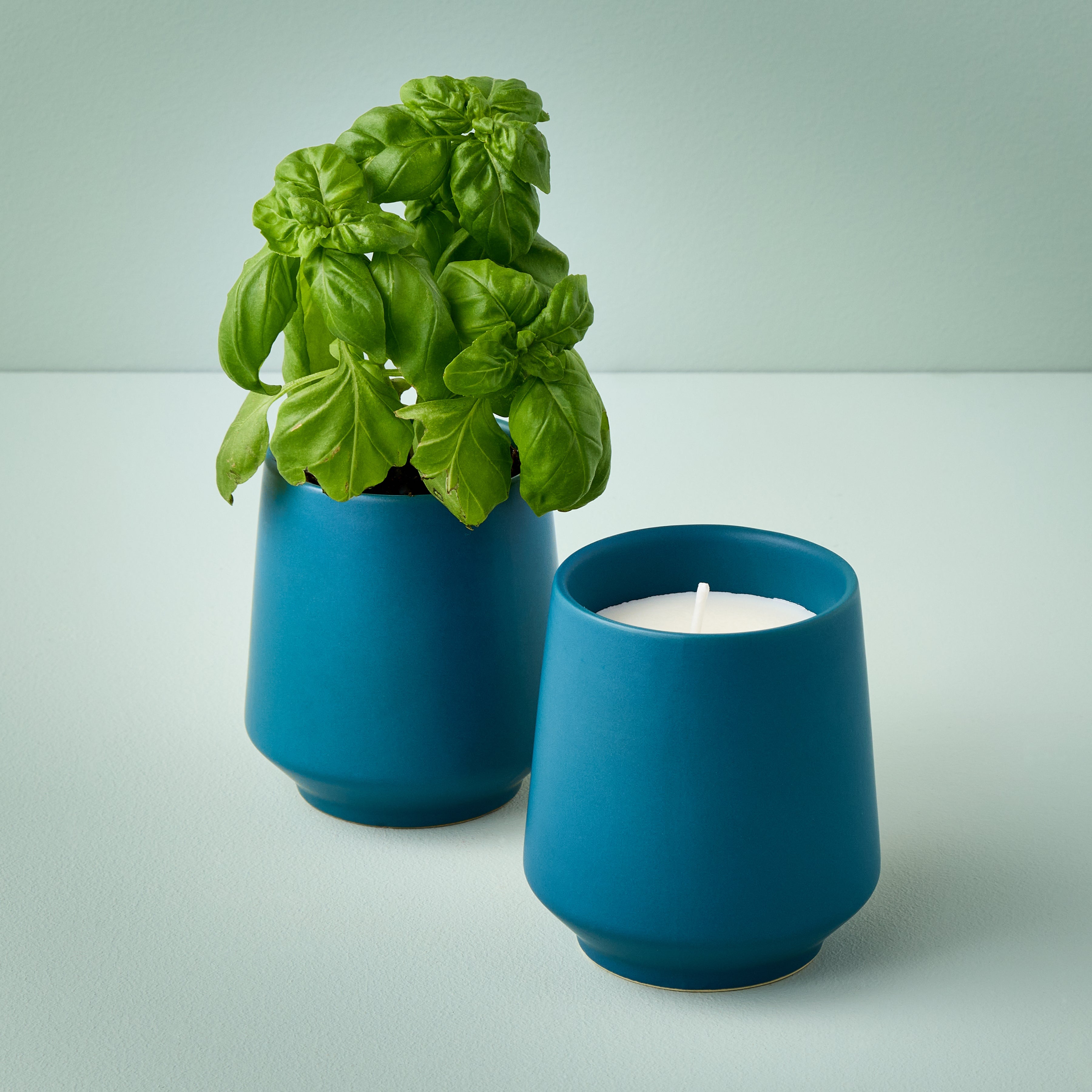 Rooted Candles