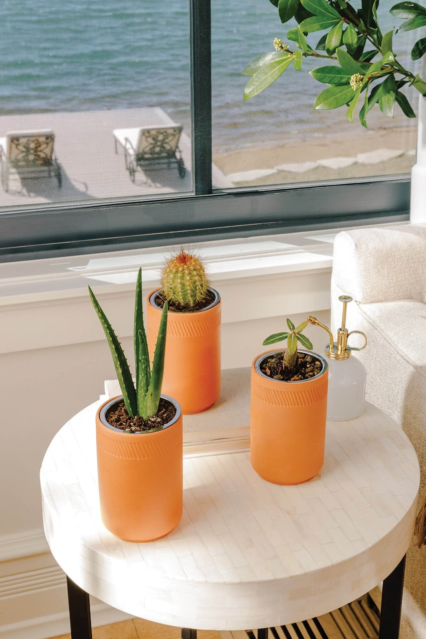 a group of cactus in orange pots on a table