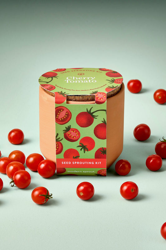 Tiny Terracotta Garden Kits