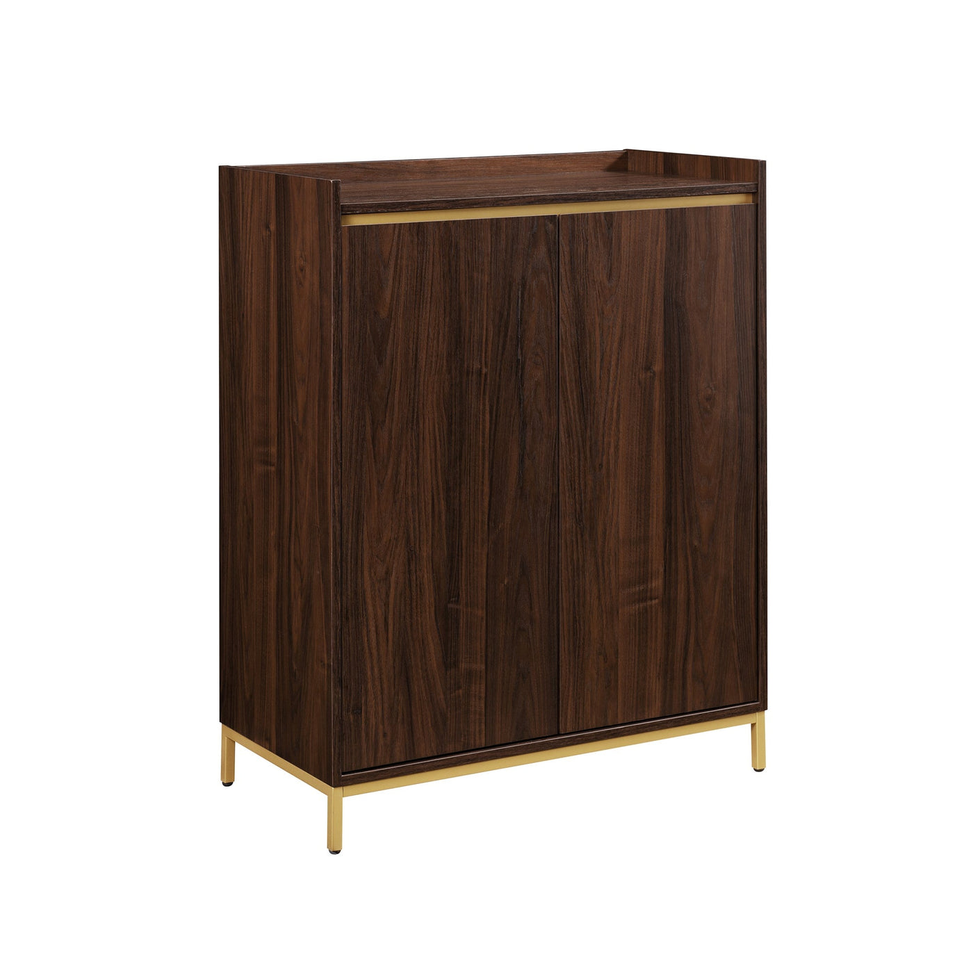 Contemporary Minimalist 2-Door Accent Cabinet