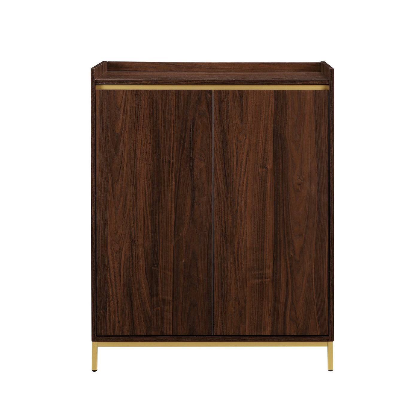 Contemporary Minimalist 2-Door Accent Cabinet