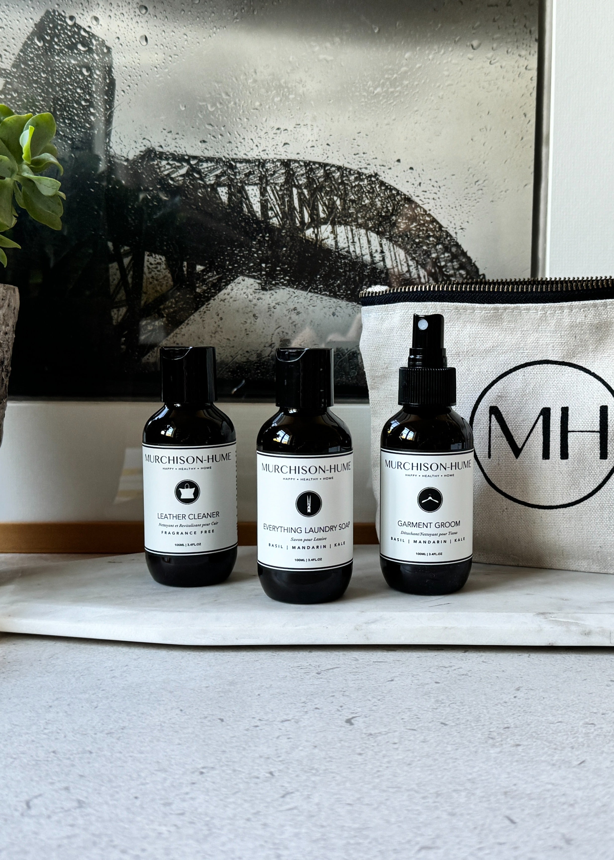 Travel Everything Laundry Soap