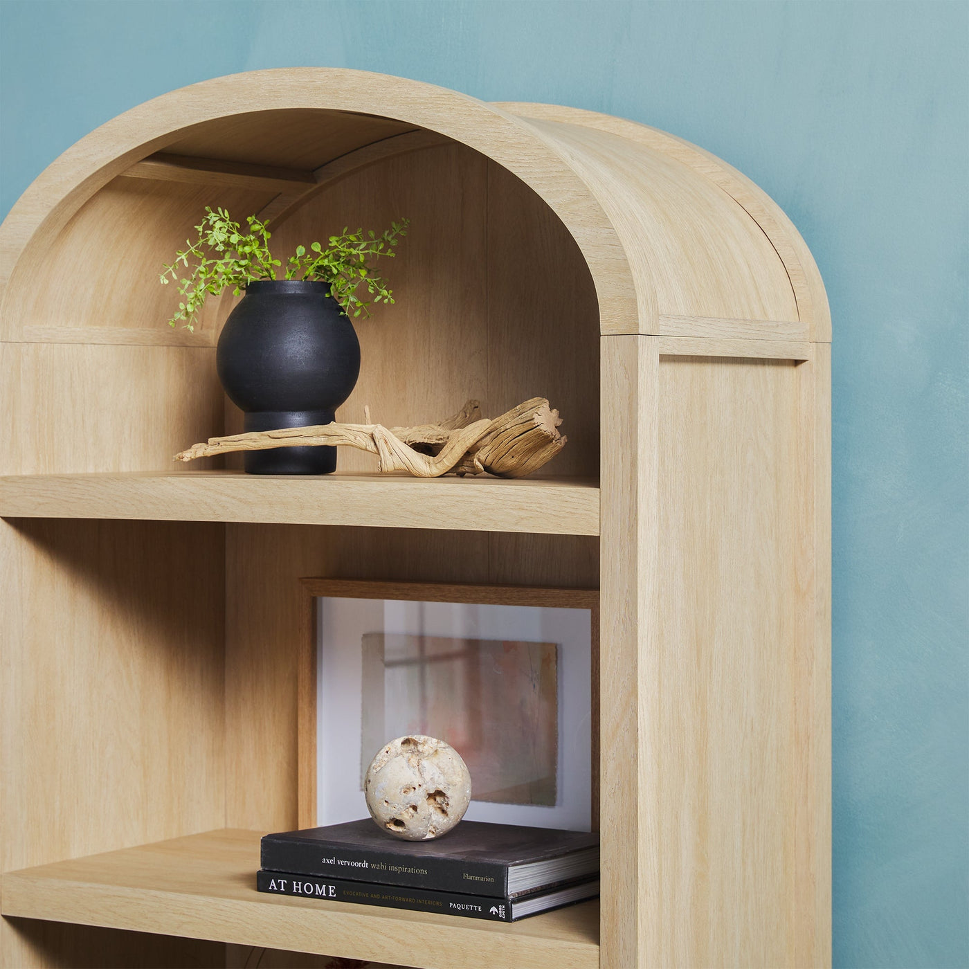 a shelf with a plant and a picture frame