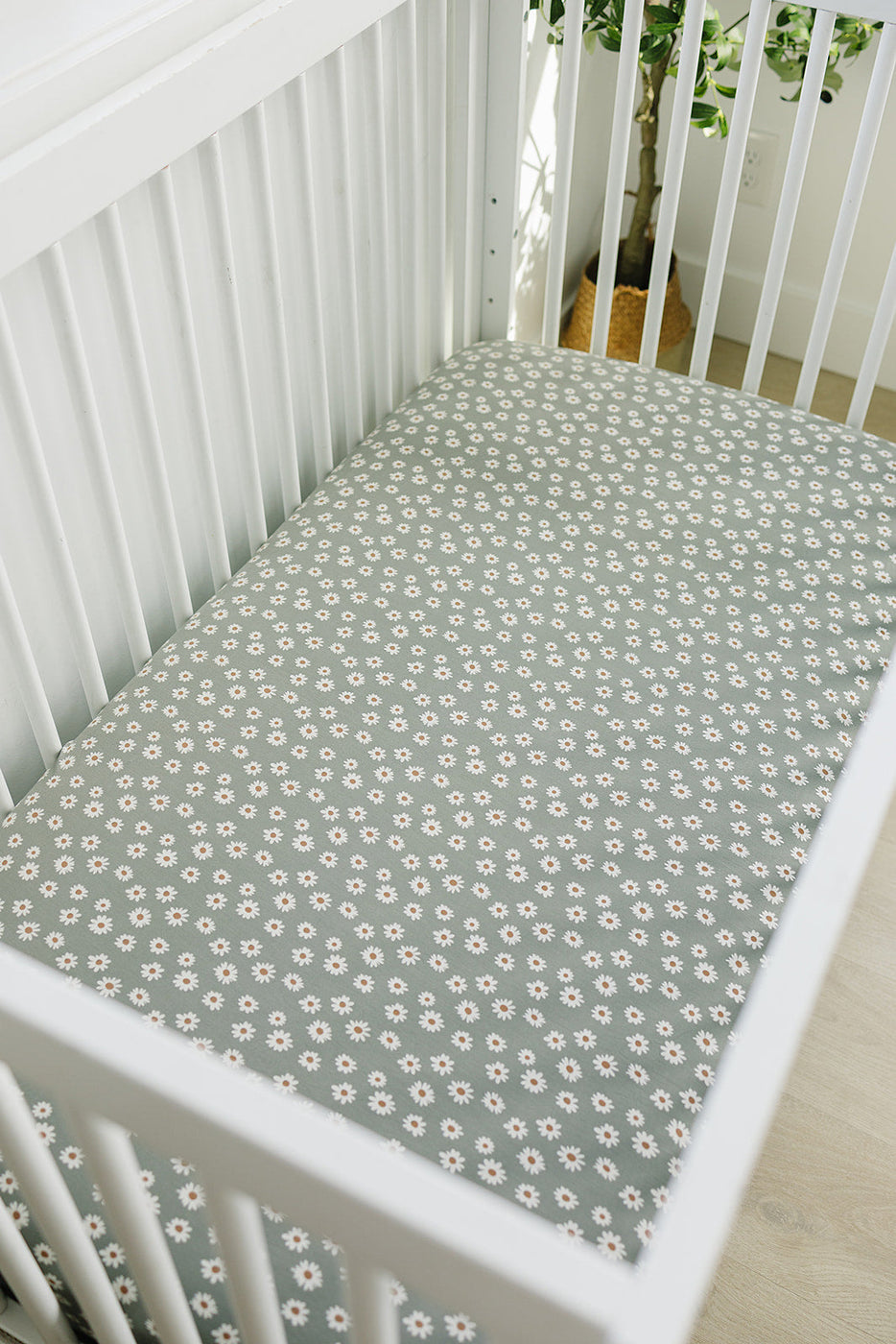 Light Green Daisy Bamboo Stretch Crib Sheet ROOLEE