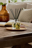 Frasier Fir Petite Pine Needle Reed Diffuser