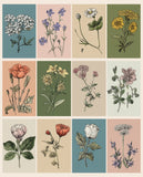Pastel Petals