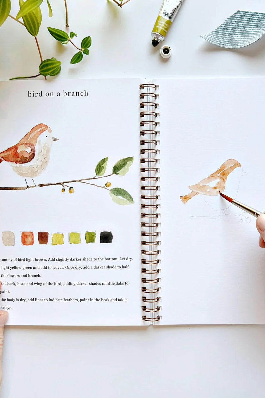 Animals Watercolor Workbook