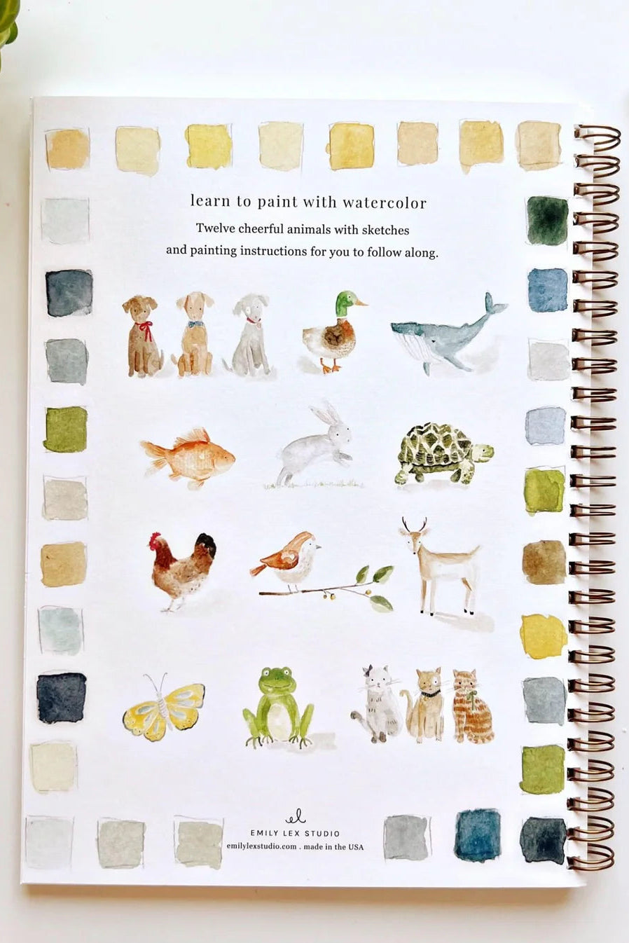 Animals Watercolor Workbook