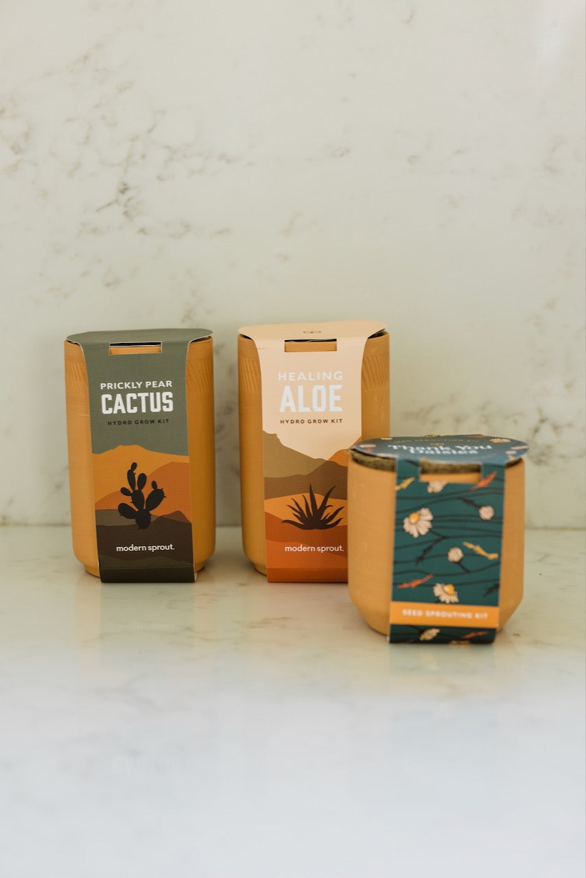 Grow Plants at Home | ROOLEE