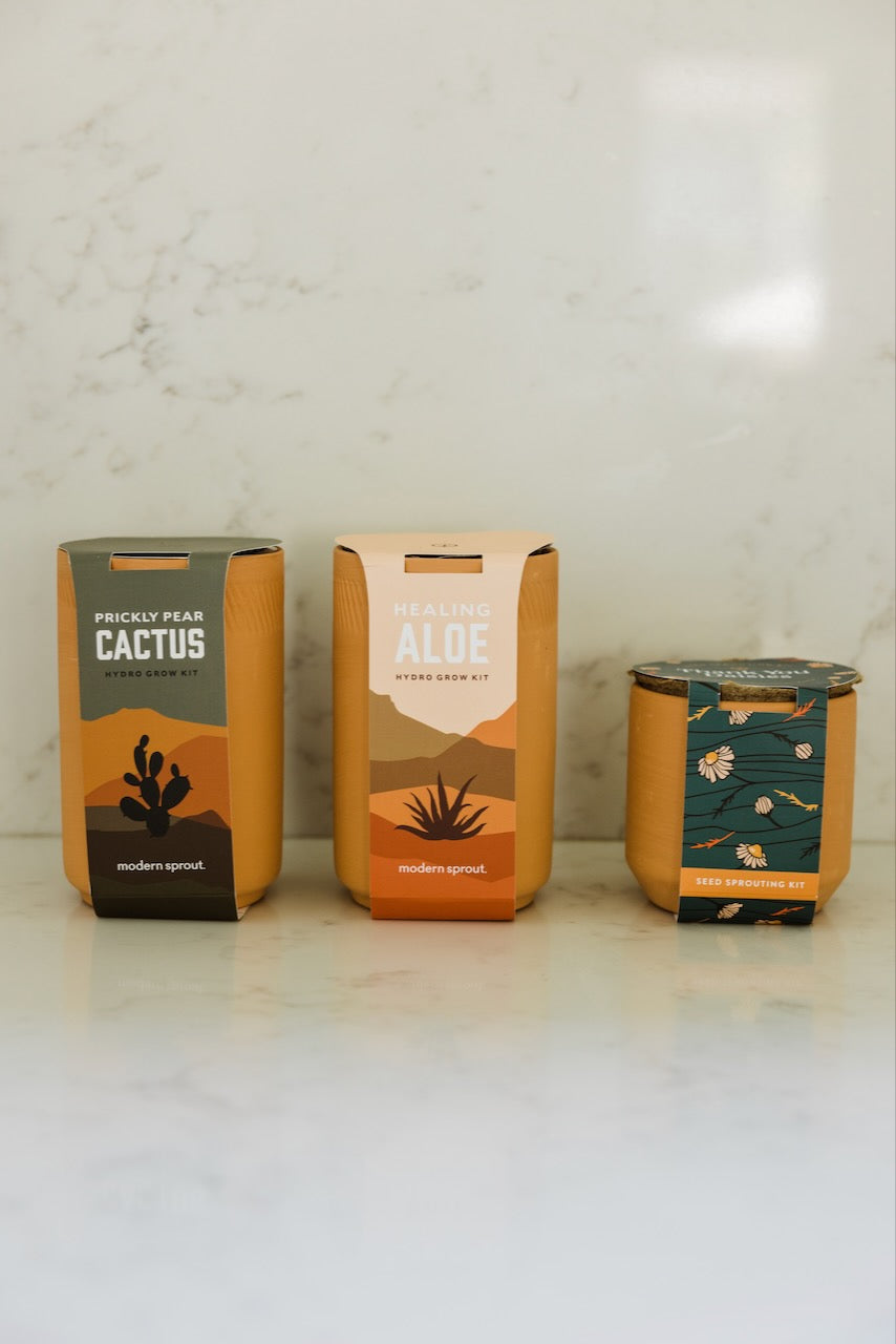 prickly pear cactus grow kit Grow Daisies In Your Home - Plants + Planters