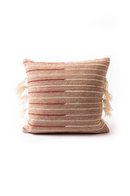 Throw Pillow for the Couch | ROOLEE